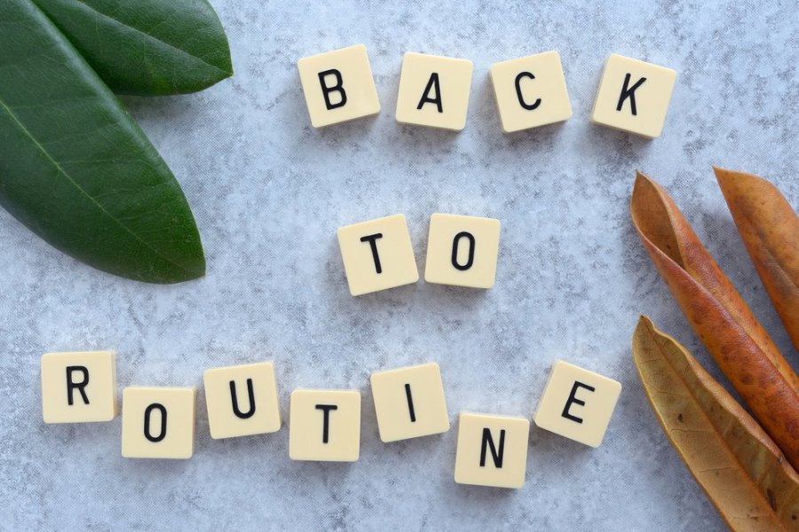 Back to the Routine