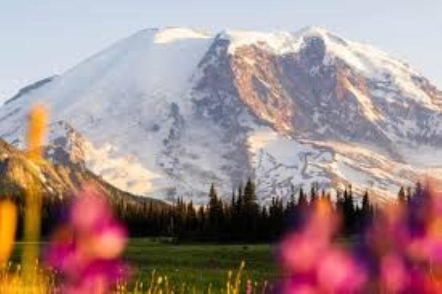 Mt Rainier Itinerary